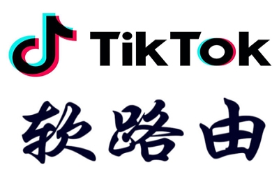 谷歌看tiktok需要加速器吗(googleplay tiktok)